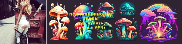 ешки Алексин