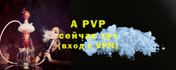 ешки Алексин