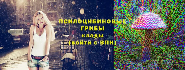 ешки Алексин