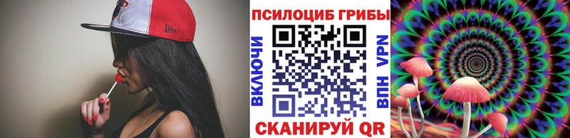 мега ссылки  Переславль-Залесский  Псилоцибиновые грибы мицелий 